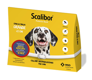 SCALIBOR PROTECTOR BAND*BI65CM - Farmacia Mortise
