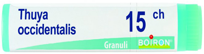 THUYA OCCIDENTALIS 15 CH GLOBULI - Farmacia Mortise