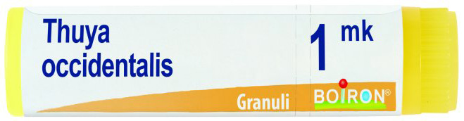 THUYA OCCIDENTALIS MK GLOBULI - Farmacia Mortise