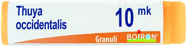 THUYA OCCIDENTALIS XMK GLOBULI - Farmacia Mortise