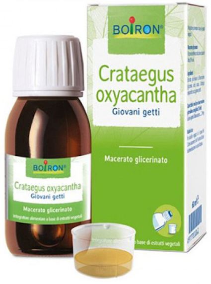 CRATAEGUS OXYACANTHA  TINTURA MADRE 60 ML - Farmacia Mortise