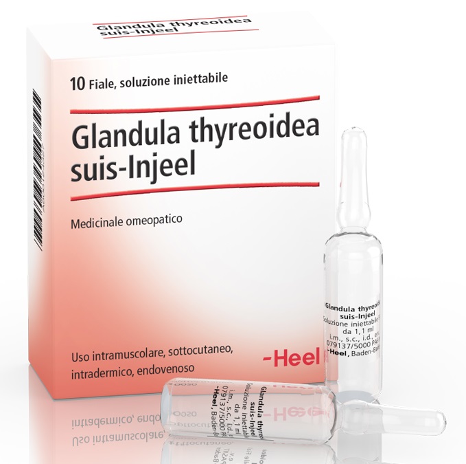 HEEL GLANDULA THYROIDEA SUIS INJEEL 10 FIALE - Farmacia Mortise
