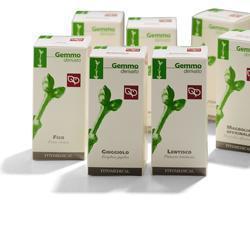 FICO MACERATO GLICERICO 100 ML - Farmacia Mortise