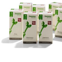GINEPRO MACERATO GLICERICO 100 ML - Farmacia Mortise