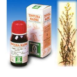VERGA ORO 26 50ML TM - Farmacia Mortise