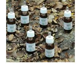ZEABEL OLIO MASSAGGIO 50 ML - Farmacia Mortise