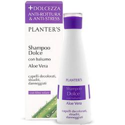 PLANTER'S SHAMPOO DOLCE ALL'ALOE VERA 200 ML - Farmacia Mortise