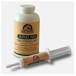 WIND AID SCIROPPO 947 ML - Farmacia Mortise