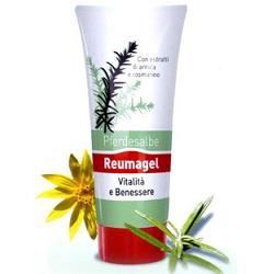 RECOVER GEL PFERDESALBE 200 ML - Farmacia Mortise