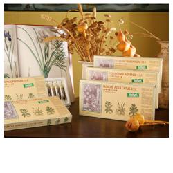 SILYBUM MAR COMP 12F STV - Farmacia Mortise