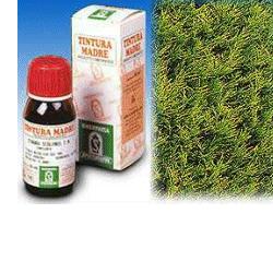 CIPRESSO 11 50ML TM - Farmacia Mortise