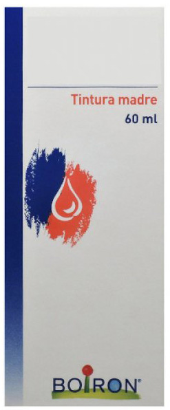 TARAXACUM DENS LEO 60 ML TINTURA MADRE - Farmacia Mortise