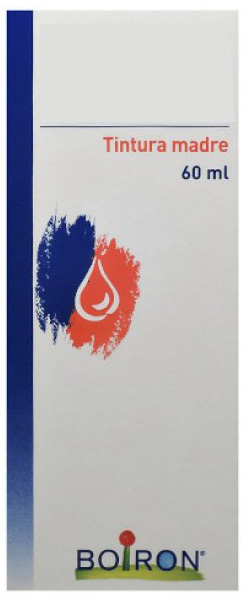 THUYA OCCIDENTALIS TINTURA MADRE 60 ML - Farmacia Mortise