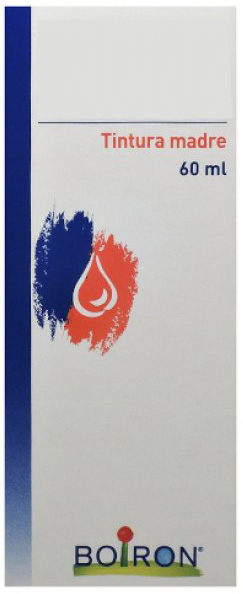 TILIA TOMENTOSA TINTURA MADRE 60 ML - Farmacia Mortise