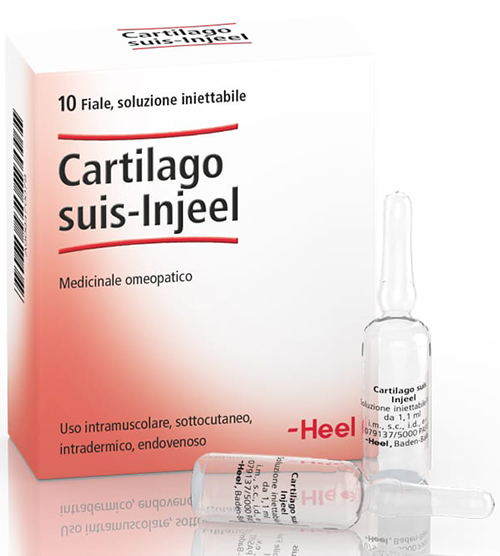 HEEL CARTILAGO SUIS INJEEL 10 FIALE - Farmacia Mortise