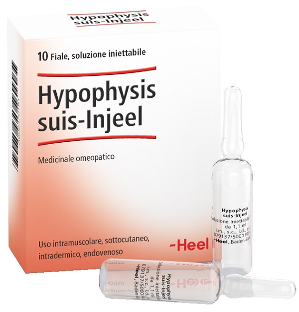 HEEL HYPOPHYSIS SUIS INJEEL 10 FIALE - Farmacia Mortise