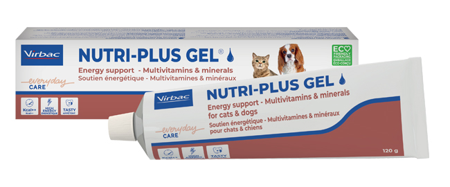 NUTRIPLUS GEL PASTA ORALE 120 G - Farmacia Mortise