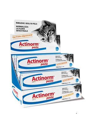 ACTINORM PASTA GATTI 65 G - Farmacia Mortise