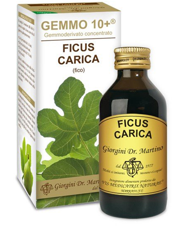 GEMMO 10+ FICO LIQUIDO ANALCOLICO 100 ML - Farmacia Mortise