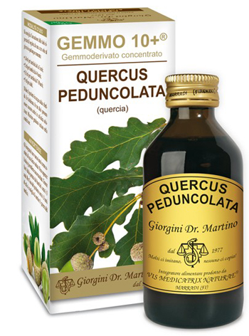 GEMMO 10+ QUERCIA 100 ML LIQUIDO ANALCOLICO - Farmacia Mortise
