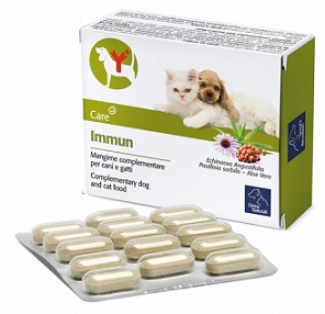 IMMUN 60 COMPRESSE - Farmacia Mortise