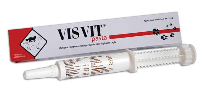 VISVIT PASTA OS SIRINGA 15 G - Farmacia Mortise