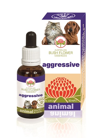 AGGRESSIVE 30 ML - Farmacia Mortise
