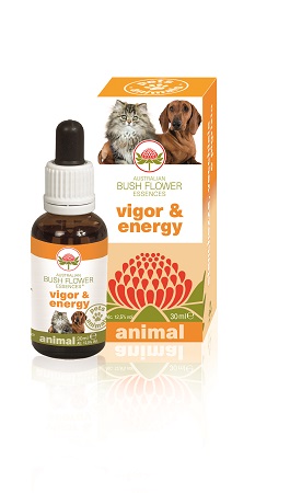VIGOR & ENERGY 30 ML - Farmacia Mortise