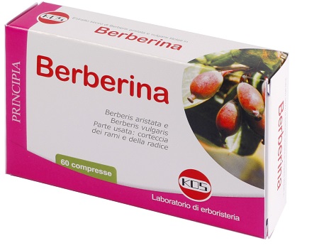 BERBERINA ESTRATTO SECCO 60 COMPRESSE - Farmacia Mortise