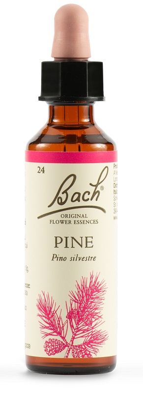 PINE BACH ORIG 20 ML - Farmacia Mortise