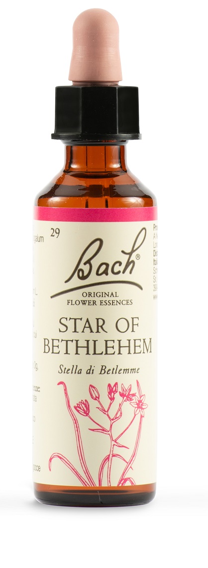 STAR OF BETHL ORIG 20 ML - Farmacia Mortise