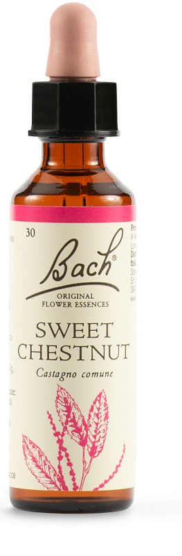 SWEET CHEST BACH ORIG 20 ML - Farmacia Mortise