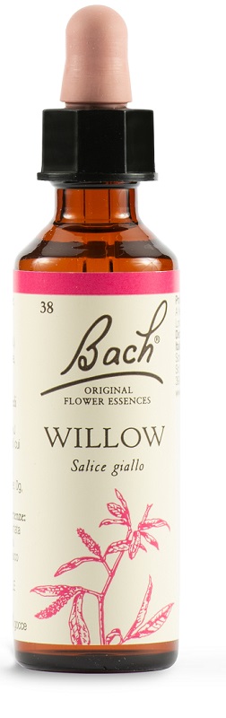 WILLOW BACH ORIG 20 ML - Farmacia Mortise