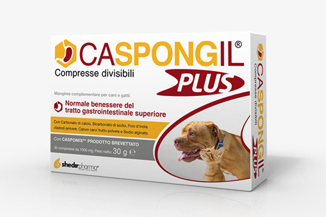 CASPONGIL PLUS 30 COMPRESSE - Farmacia Mortise