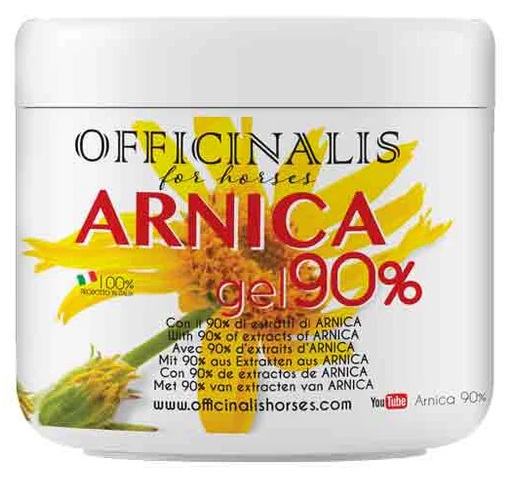 ARNICA GEL 90% 500 ML - Farmacia Mortise