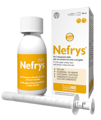 NEFRYS VEG 100 100 ML CON SIRINGA DOSATRICE ALIMENTO COMPLEMENTARE PER CANI E GATTI - Farmacia Mortise